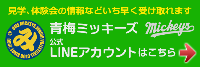 青梅ミッキーズ公式LINEラインアカウント